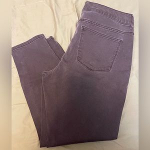 Maurices Jeggings 14w Short